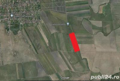 De vanzare parcela de teren la intrare in Sacalaz ,dupa cartierul Primaverii, 35000 euro - 1