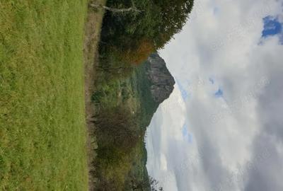 Teren de 8500 mp, în Hărțăgani - 8