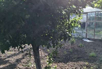 Casă cu Teren 800 Mp în Central - 8