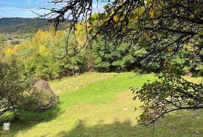 Teren de 4300 mp, în Breaza - 14