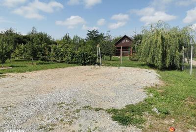 Spațiu comercial, în Nou - 6