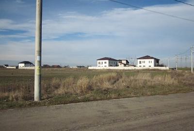 Teren Construcții intravilan de 447 mp, în Domnești - 8