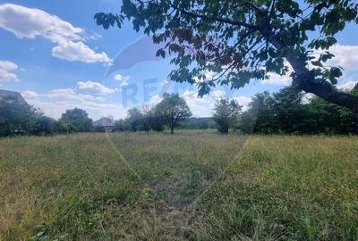 Teren intravilan 11.500?mp Strada Cismari Valenii ...