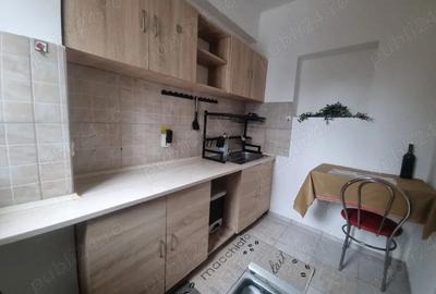 Apartament cu 2 camere semidecomandat în Ozana - 1