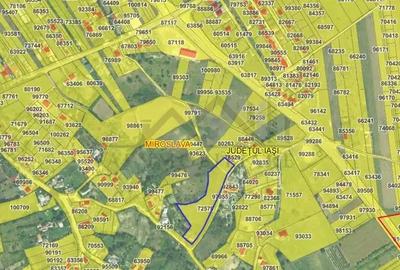 Ciurbesti zona Bisericii TEREN 7000mp intravilan cu utilitati acces si din sos de centura - 2