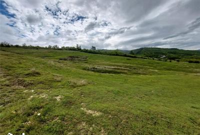 Teren de 10000 mp, în Pănătău - 3