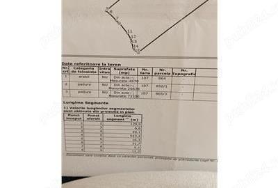 Teren de 140000 mp, în Drăgănești - 7