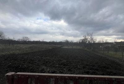 Casă cu 4 camere în Central - 4