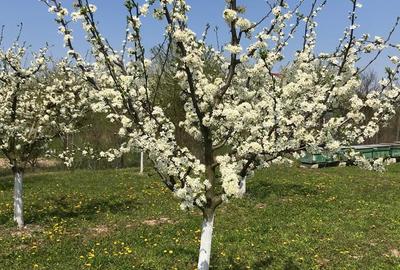 Teren de 3000 mp, în Central - 5