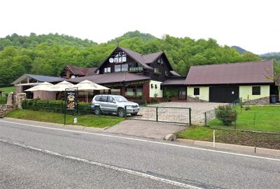 Spațiu comercial, 400 mp în Lepșa