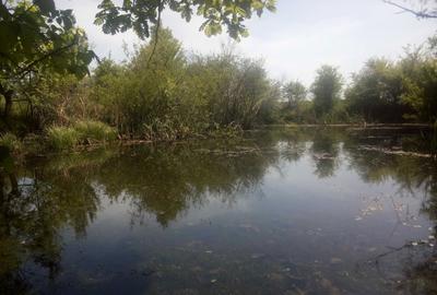 Teren de 50000 mp, în Făgețelu - 16