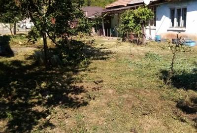 Casa de vanzare jibou - 5