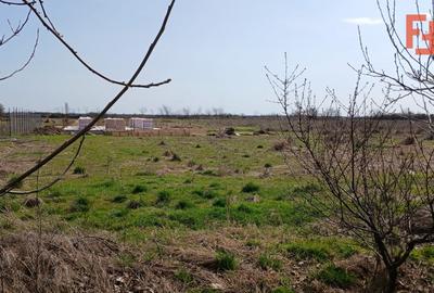 Teren Construcții intravilan de 798 mp, în Peciu Nou