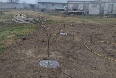 Spațiu comercial, în Lumina - 4