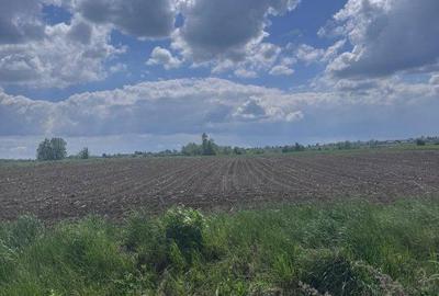 Teren de 7800 mp, în Central