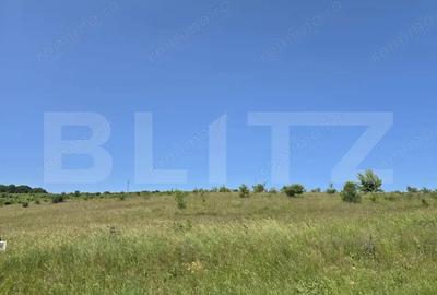 Teren de 1100 mp, în Sălicea - 2