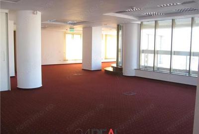 Spațiu comercial, în Titulescu - 8