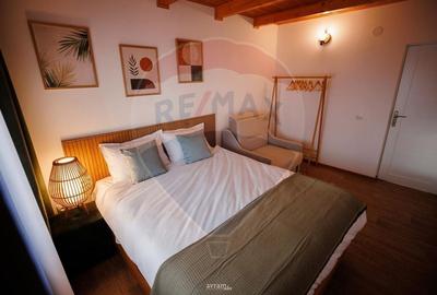 Oportunitate! Cabana moderna cu 5 camere de vanzare - TRANSAPUSEANA - 2