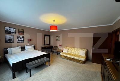 Pensiune frumoasa, Afacere la cheie, zona Cetate Alba Iuli - 4