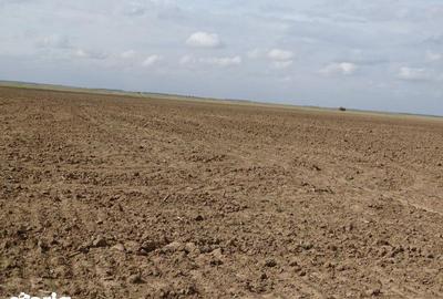 Teren de 5800 mp, în Scurtu Mare - 3