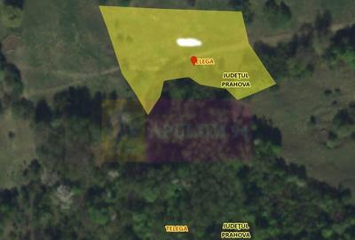 Teren extravilan de vanzare in Telega - 1