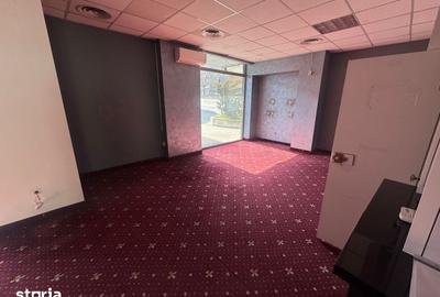 Spațiu comercial, de 80 mp, în Brotăcei - 12