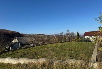 Vanzare  1400mp teren imprejmuit 2 loturi pt casa Adancata - sub padure - 7