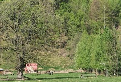 Spațiu comercial, în Plaiul Foii - 8