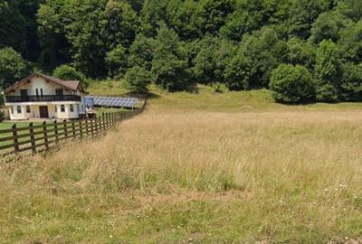 Spațiu comercial, în Plaiul Foii - 2