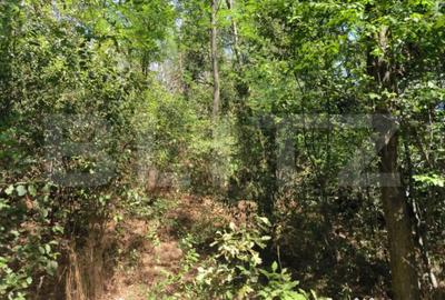 Teren de 3000 mp, în Central - 3