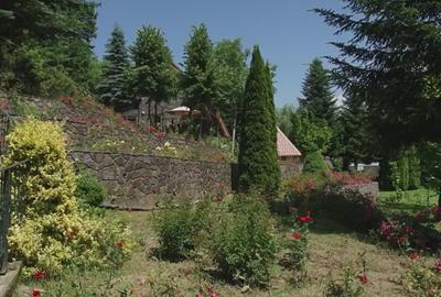 Vila de vanzare in Campina - Lunca Mare, teren 16500 MP - 5