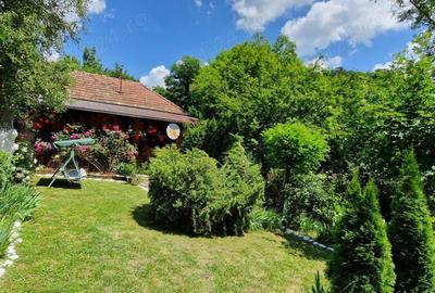 Casa de ?ara de vanzare - 10