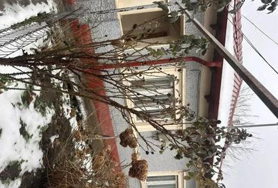 Casă cu 3 camere cu Teren 282 Mp în Central - 3