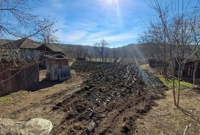 Casa batraneasca de vanzare - 5