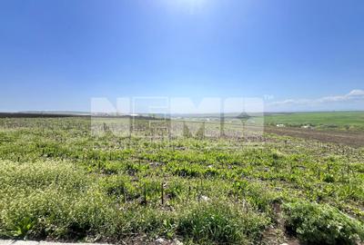 Teren agricol intravilan de 2600 mp, în Moara - 1