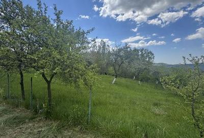 Casă cu 1 camere cu Teren 43 Mp în Cepari - 2