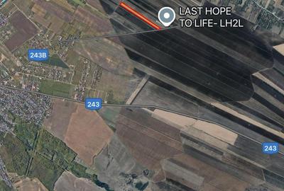 Spațiu comercial, în Crâng - 2