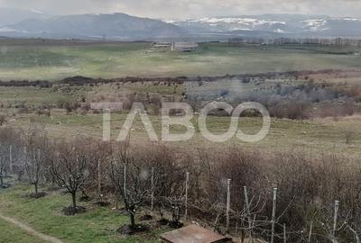 Casa singur in curte cu teren liber 2667 mp 6 camere 4 bai Daia - 12