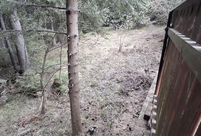 Teren de 500 mp, în Băișoara - 4