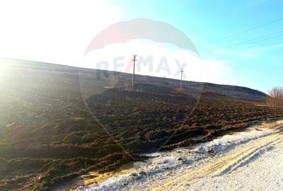 Teren agricol extravilan de 4956 mp, în Letea Veche - 5