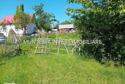 Teren de 5596 mp, în Bradu - 2