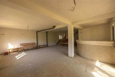 FILM! Edificu remarcabil, deschidere oportunitate de customizare - 27