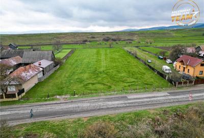 FILM!Potential rezidential investitional: 8.000 mp intravil - 6