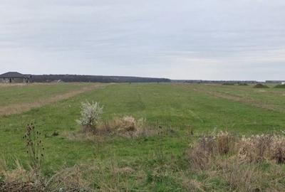 Teren Construcții intravilan de 2250 mp, în Sânmartin - 3