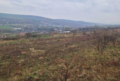 Spațiu comercial, în Chinteni - 6