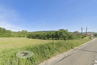 Teren Construcții intravilan de 4244 mp, în Fughiu - 3