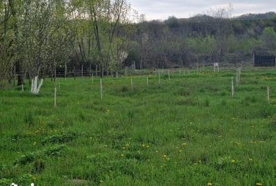 Teren de 1809 mp, în Moțăieni - 2