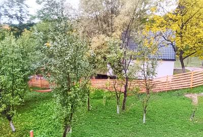 Campina, Valea Prahovei, Valea Doftanei - 2