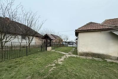 Casă cu 2 camere cu Teren 5800 Mp în Dumbrava - 9