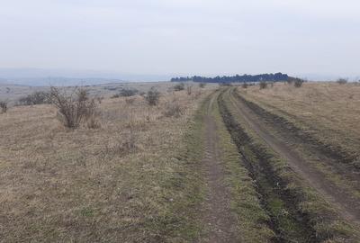Teren agricol pentru investitii, zona Valea Calda -Iris - 9